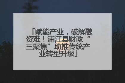赋能产业，破解融资难！浦江县财政“三聚焦”助推传统产业转型升级